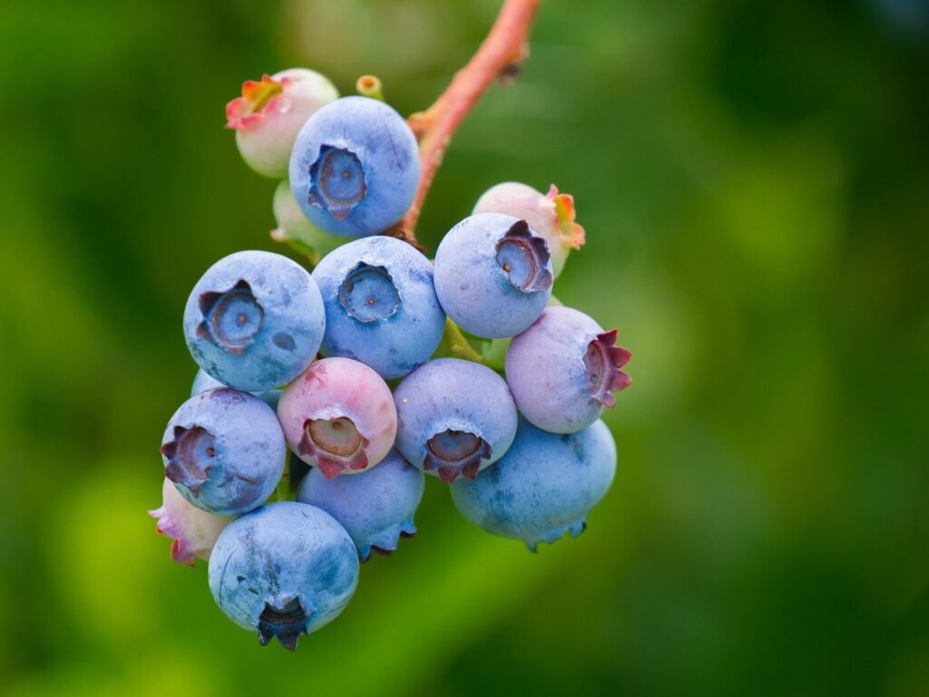 10 Tipps Für Eine Umweltfreundliche Und Gesunde Ernährung