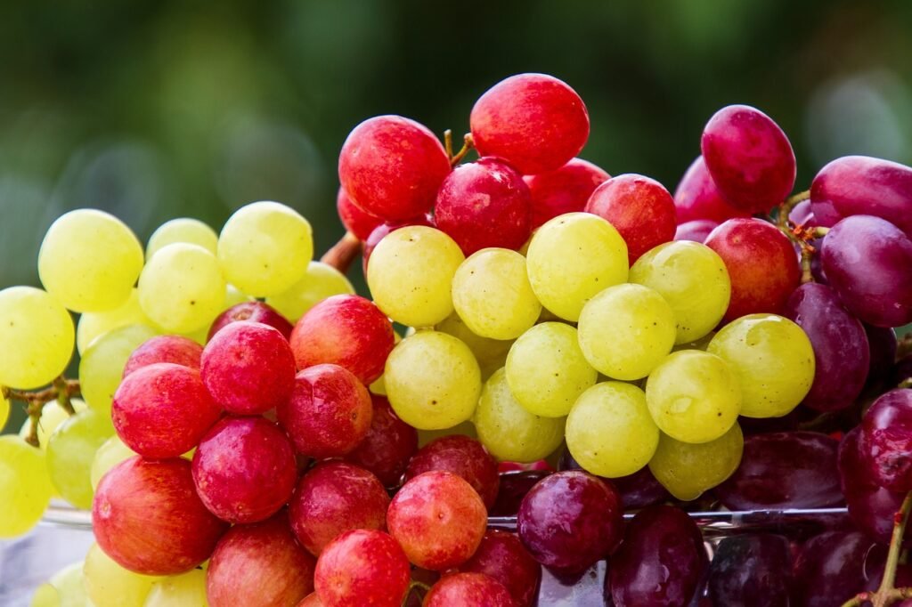 Warum Ist Bio-Ernährung Nachhaltiger Und Gesünder?