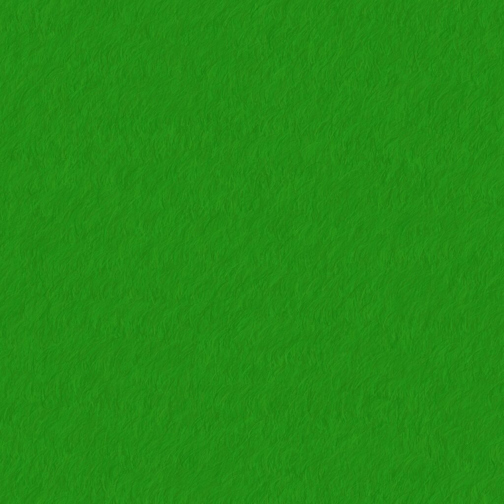 Wie Finde Ich Nachhaltige Und Ethische Produkte?