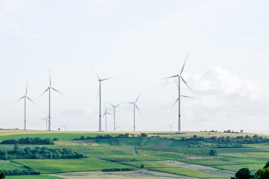 Wie Kann Ich Meinen CO2-Fußabdruck Verringern?