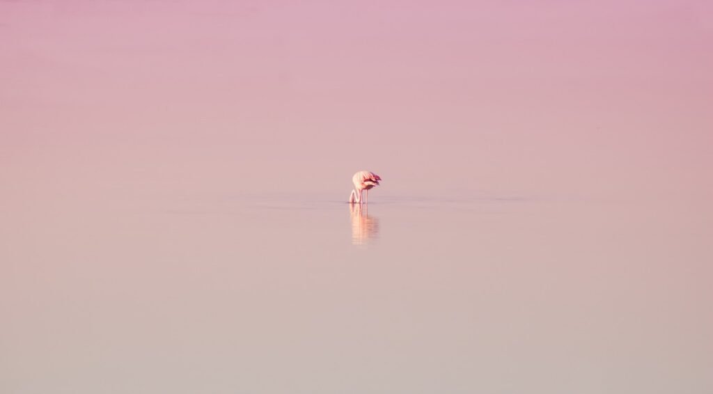 Wie Kann Ich Meinen Konsum Reduzieren?