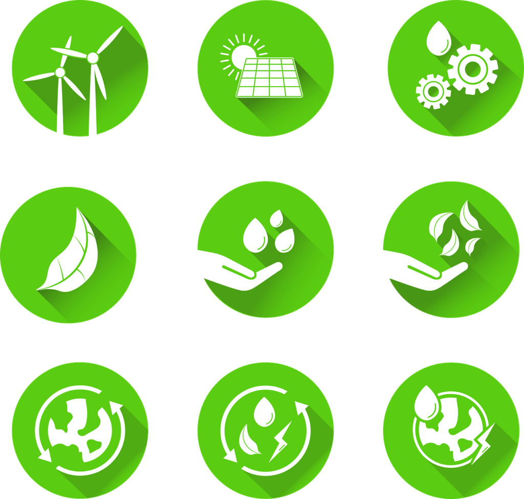 Wie Kann Man Saisonal Und Regional Einkaufen Um Die Umwelt Zu Schützen?